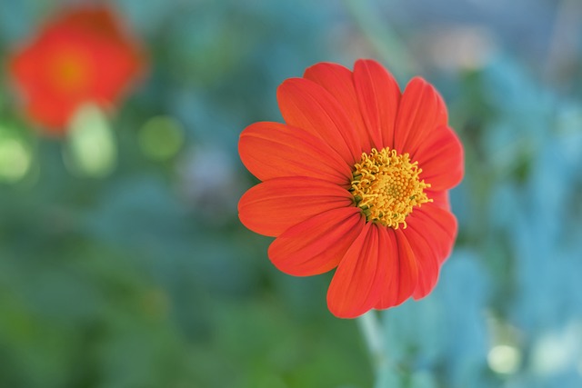 利益博弈的 利益博弈的