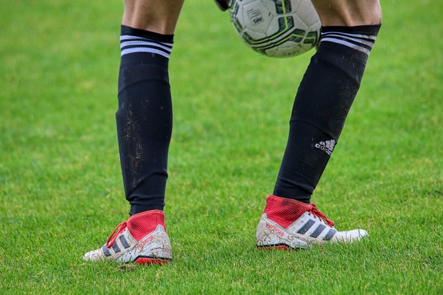 持续发展的 持续发展的